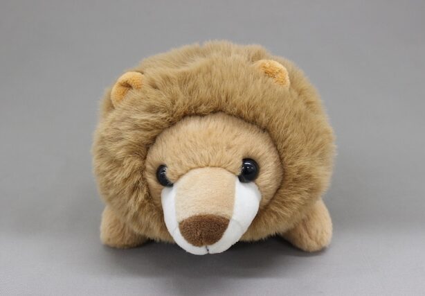 ワイルド　アニマル　ペンケース　ライオン　動物